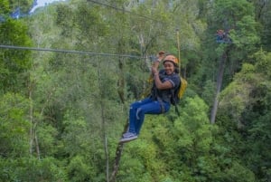 Stormrivier: Tsitsikamma National Park Zipline Canopy Tour