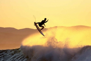 Garden Route Private Full-Day Safari from Port Elizabeth