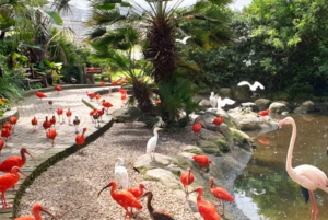Garden Route Private Full-Day Safari from Port Elizabeth