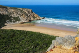 Garden Route Private Full-Day Safari from Port Elizabeth