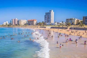 Garden Route Private Full-Day Safari from Port Elizabeth