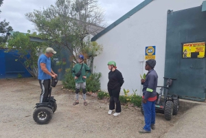 GARDEN ROUTE: SEGWAY OFF-ROAD-TUR PLETTENBERG BAY WILDX
