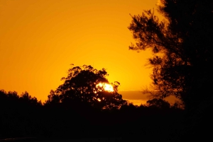 Prywatna wycieczka 1-dniowa z przewodnikiem po rezerwacie przyrody Storms River