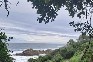 Jeffreys Bay: excursión guiada de un día a la reserva natural del río Storms