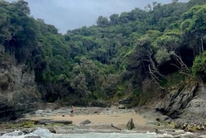 Jeffreys Bay: excursión guiada de un día a la reserva natural del río Storms