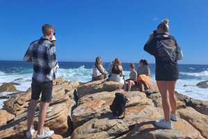 Jeffreys Bay: excursión guiada de un día a la reserva natural del río Storms
