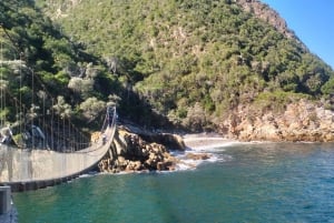 Johannesburg : circuit de 10 jours aux chutes Victoria et sur la Garden Route