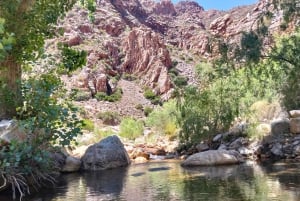 Johannesburg : circuit de 10 jours aux chutes Victoria et sur la Garden Route