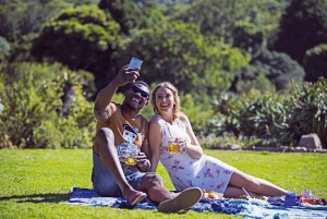 Kirstenbosch Garden, Bo-Kaap-Penguins & Cape Peninsula Tour
