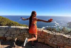 Kirstenbosch Garden, Bo-Kaap-Penguins & Cape Peninsula Tour
