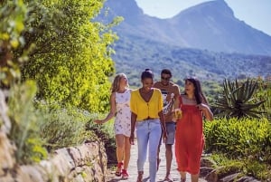 Kirstenbosch Garden, Bo-Kaap-Penguins & Cape Peninsula Tour