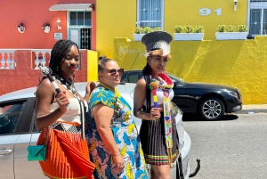 Kirstenbosch Garden, Bo-Kaap-Penguins & Cape Peninsula Tour
