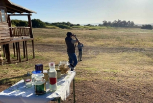 Klein Karoo Birding