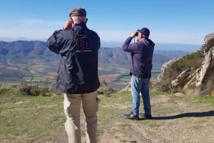 Vogelbeobachtung in der Kleinen Karoo