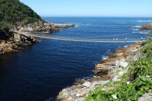 Klein Karoo, Garden Route and Addo Shore 3-Day Excursion