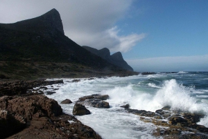 Klein Karoo, Garden Route and Addo Shore 3-Day Excursion