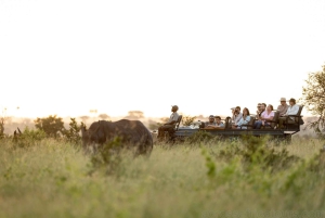 Klein Karoo, Garden Route and Addo Shore 3-Day Excursion