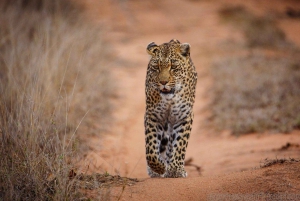 Klein Karoo, Garden Route and Addo Shore 3-Day Excursion