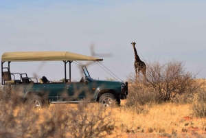 Klein Karoo, Garden Route and Addo Shore 3-Day Excursion