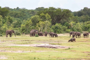 Klein Karoo, Garden Route and Addo Shore 3-Day Excursion