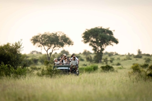 Klein Karoo, Garden Route and Addo Shore 3-Day Excursion
