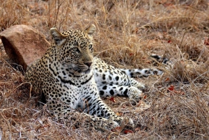 Klein Karoo, Garden Route and Addo Shore 3-Day Excursion