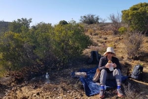 Klein Karoo - Naturvandring med picknick