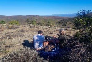 Klein Karoo - Promenade dans la nature avec pique-nique
