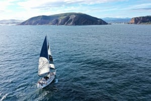 Knysna: 1.5-Hour Sailing Experience