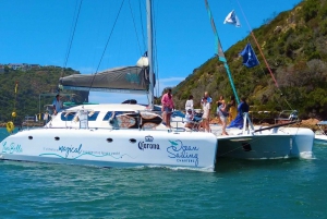 Knysna: #1 privé schilderachtige cruise aan boord van een luxe catamaran