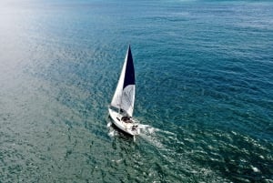 Knysna: 2.5-Hour Day Sail & Lunch Charter