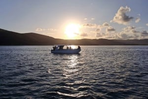 Fra Thesen Island: 75-minutters bådtur i Knysna-lagunen