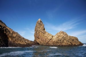 Knysna : Vie marine et visite de la côte de la Route des jardins