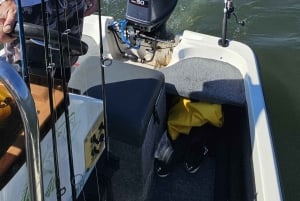 Knysna: Estuary Fishing Trip with Guide and Gear