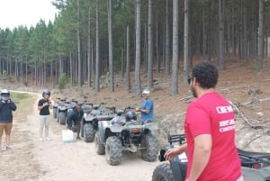 Knysna: Tour guidato in quad nella foresta