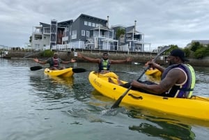 クニスナ カヤック レンタル