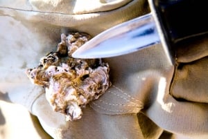 Cruzeiro educativo de degustação de ostras e vinho branco na lagoa de Knysna