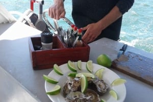 Knysna Lagoon Educational Oyster & White Wine Tasting Cruise (østers- og hvitvinsmaking)