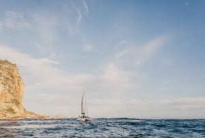 Knysna: Luksus-tur med katamaran til sjøs