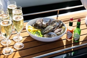 # 1 Private Sunset Cruise de Knysna, opcional Oysters & Bubbly