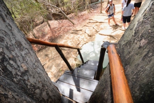 Kruger National Park: 3-Day Safari Tour and Treehouse Stay