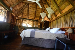 Kruger National Park: 3-Day Safari Tour and Treehouse Stay
