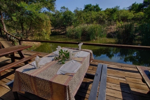 Kruger National Park: 3-Day Safari Tour and Treehouse Stay