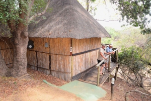 Kruger National Park: 3-Day Safari Tour and Treehouse Stay