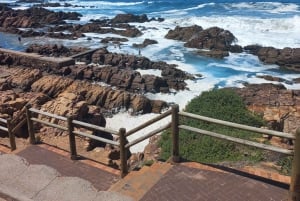 Mossel Bay : Excursion d'une journée Complexe Dias, Phare St Blaise