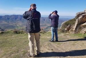 Oudtshoorn: Fågelskådningsäventyr med frukost