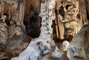 Oudtshoorn: Cango Caves, Cango Wildlife Ranch Strudse Ranch