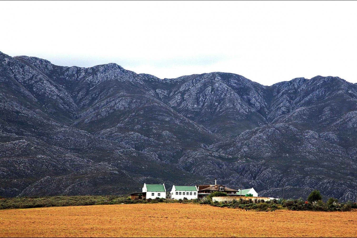 Oudtshoorn: Swartberg Pass Tour med traditionell lunch