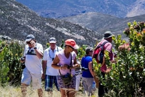Oudtshoorn: Swartberg Pass Tour with Traditional Lunch