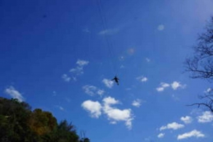 Plettenberg: 2H Zipline Tour